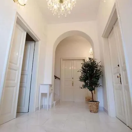 In 5559 تْسْغيكفانِتْسا